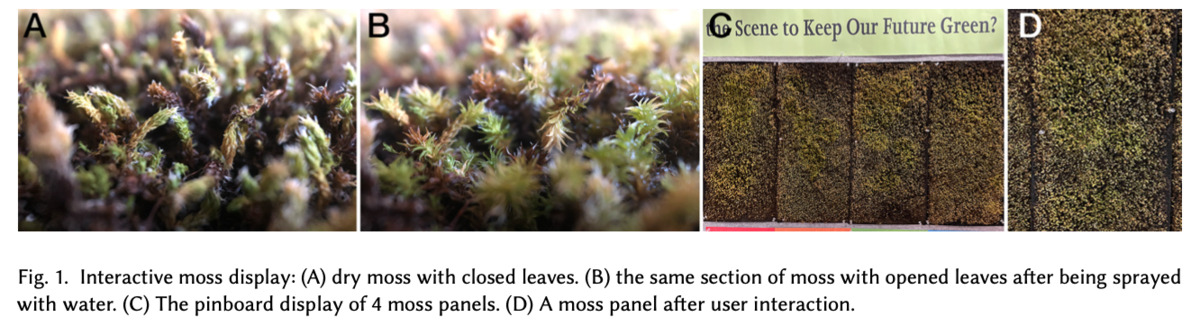 Sprayful Interaction: Perceptions of a Moss-based SLow-resolution Living Media Display
