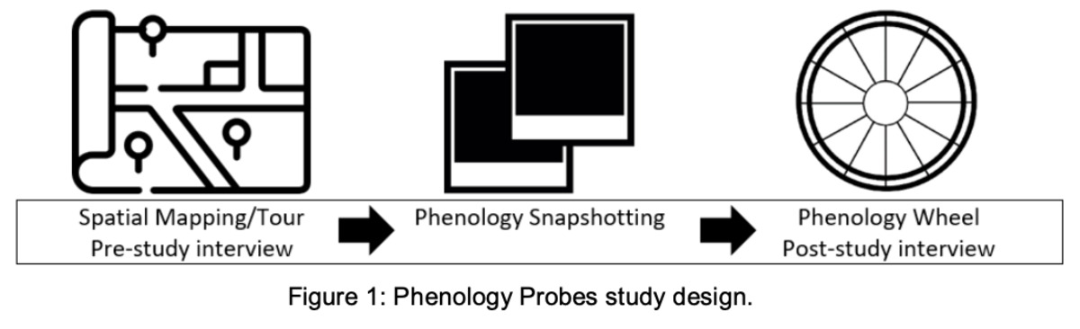 Phenology Probes: Exploring Human-Nature Relations for Designing Sustainable Futures